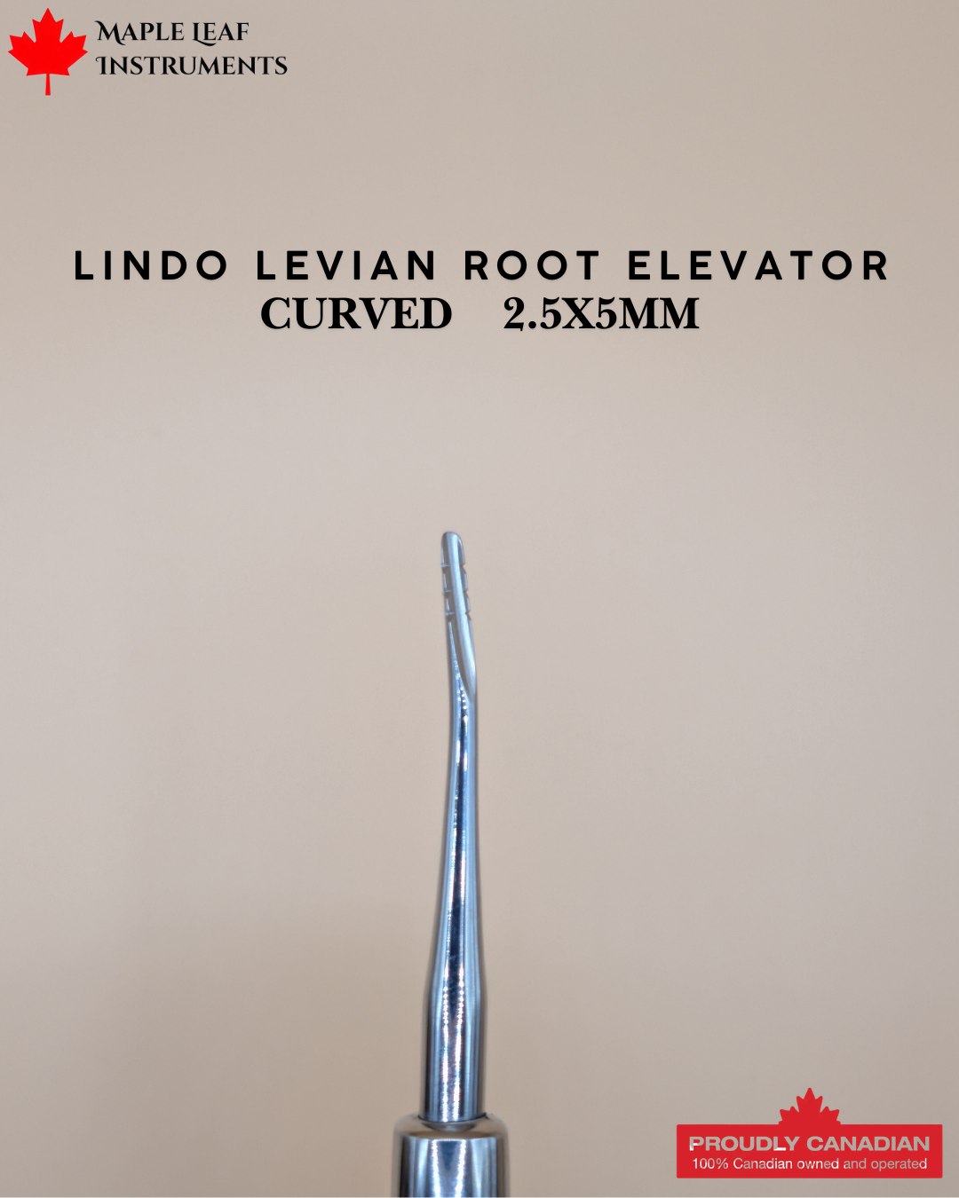 Lindo Levian Root Elevator Curved 2.5x5mm